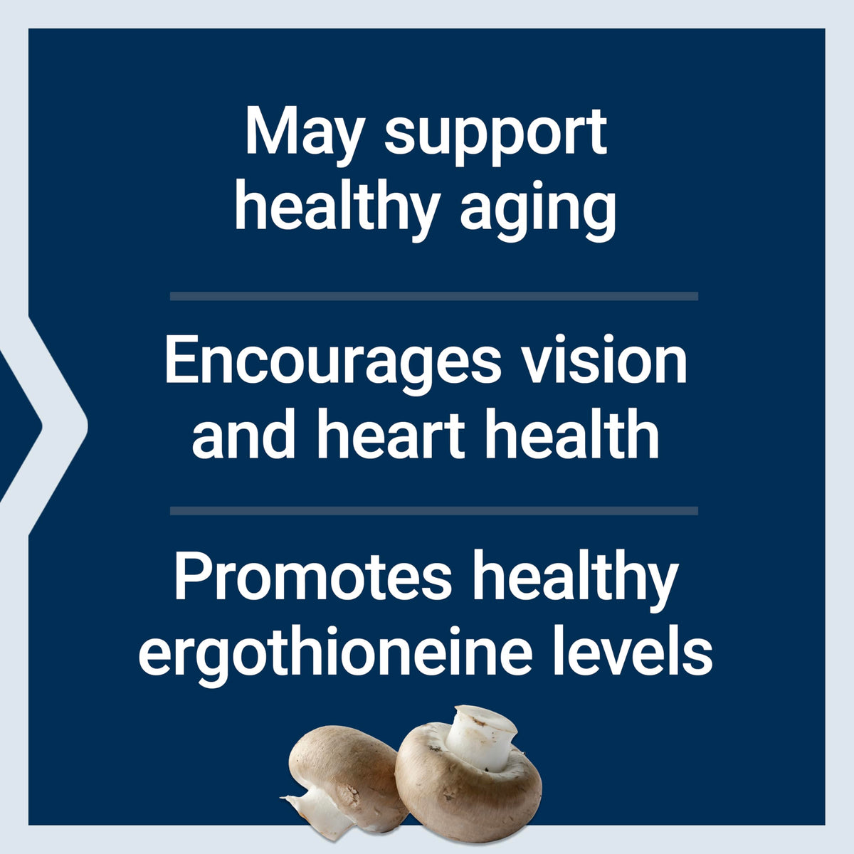 Life Extension Essential Youth L-Ergothioneine - 30 Capsules - image 4