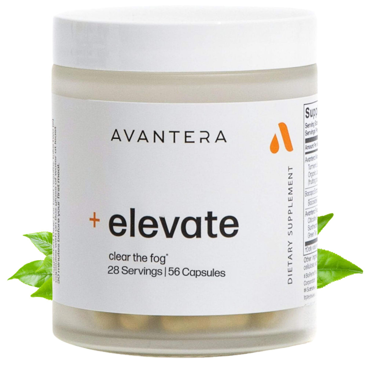 Avantera Elevate Premium Nootropic Supplement - 60 Capsules