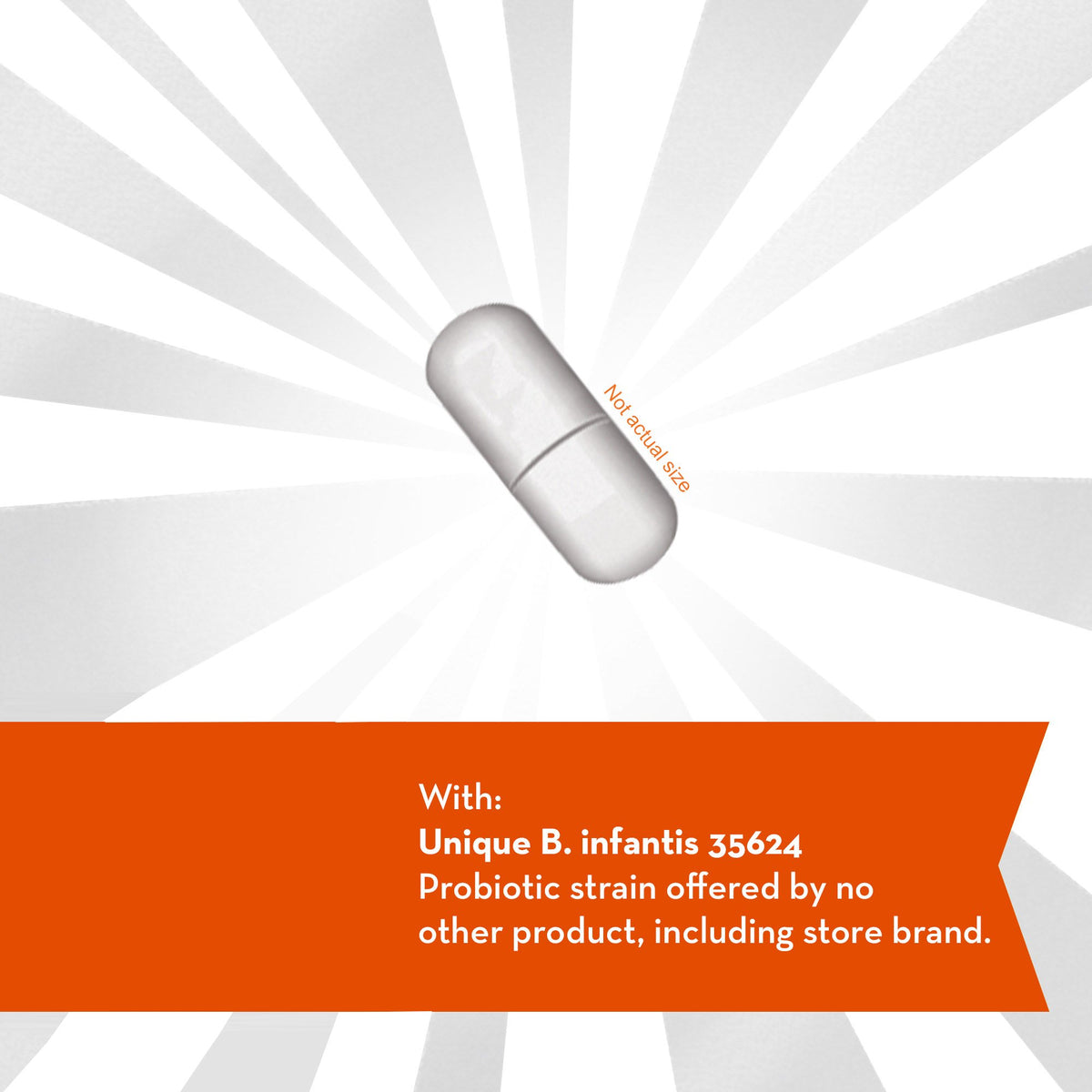 Align Daily Probiotic Supplement - 14 Capsules - image 3