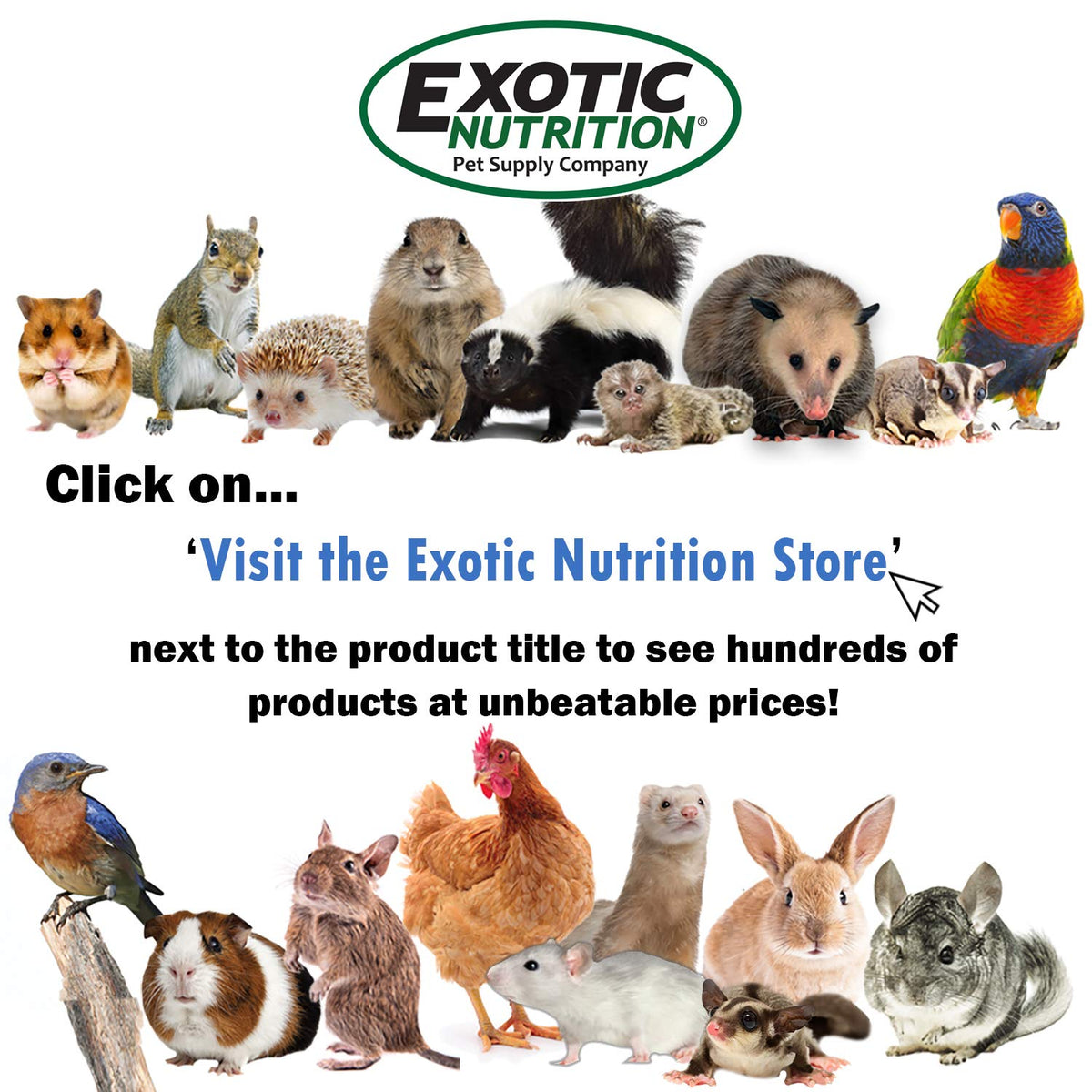 Exotic Nutrition Squirrel-Cal Calcium Supplement Powder - 3.5 oz - image 4