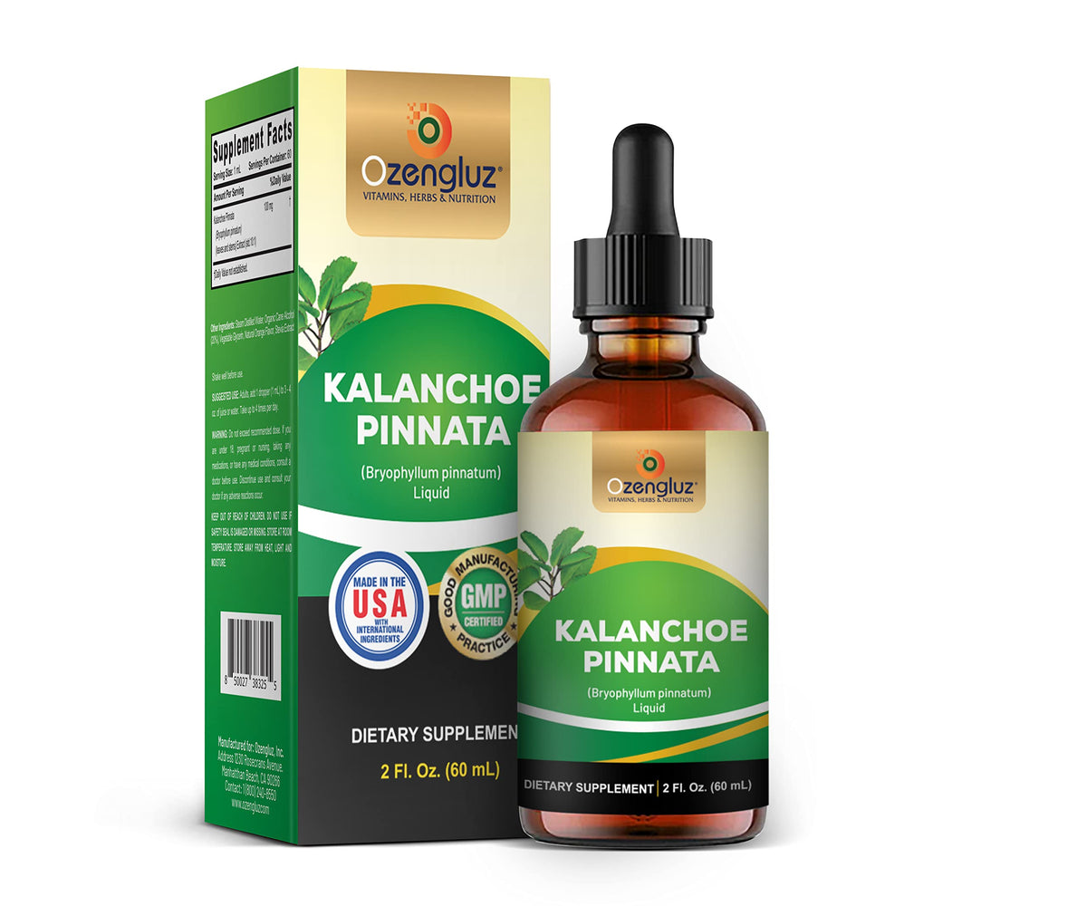 Ozengluz Kalanchoe Pinnata Herbal Supplement Liquid Extract - 2 Fl Oz