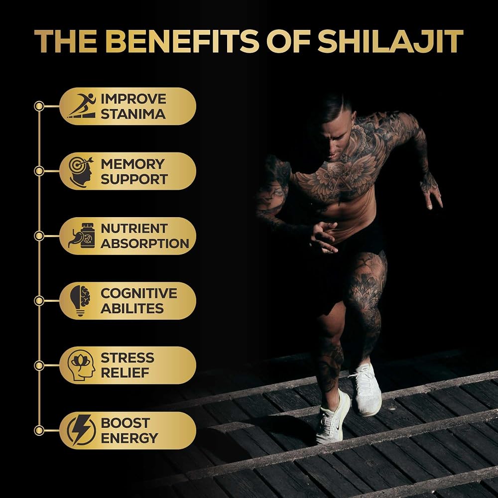 Alcami Premium Himalayan Shilajit Resin - 50 Grams - image 5