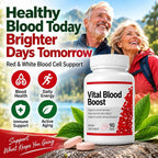 NANOWELL Vital Blood Iron Supplement
