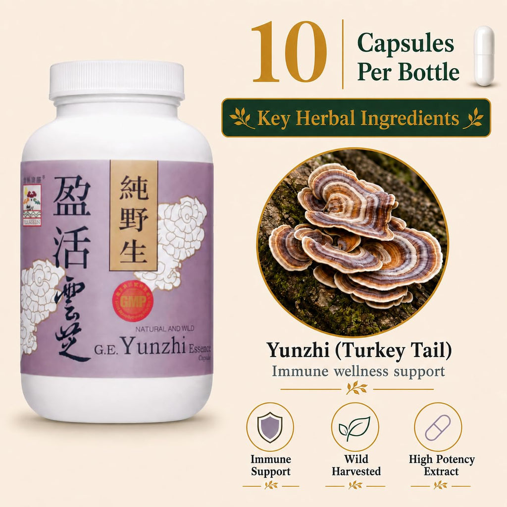 Vita Green Turkey Tail Mushroom