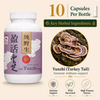 Vita Green Turkey Tail Mushroom