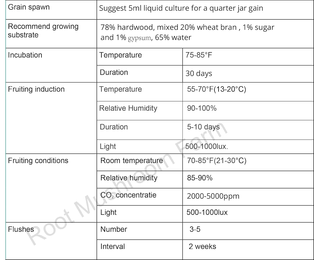 Root Mushroom Farm- Mushroom Liquid Cultures - image 6