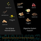 Redmint Herbal Tincture Digestif with Burdock Root - 1 Fl Oz - image 3