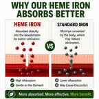 NEW ROOTS HERBAL Heme Iron 11 mg with Vitamin C & B12 - 30 Vegetable Capsules - image 3