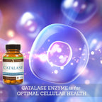 Script Essentials Catalase Antioxidant Enzyme - 30 Capsules - image 7