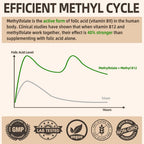 Fleamart L Methylfolate Capsules