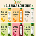 RAW Fountain Juice Cleanse, Original Detox Cleanse - image 5