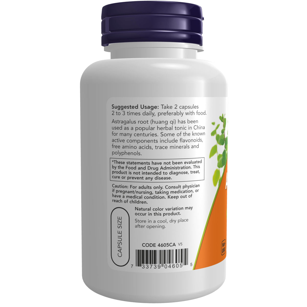 NOW Astragalus 500 mg Immune System Support - 100 Capsules - image 3
