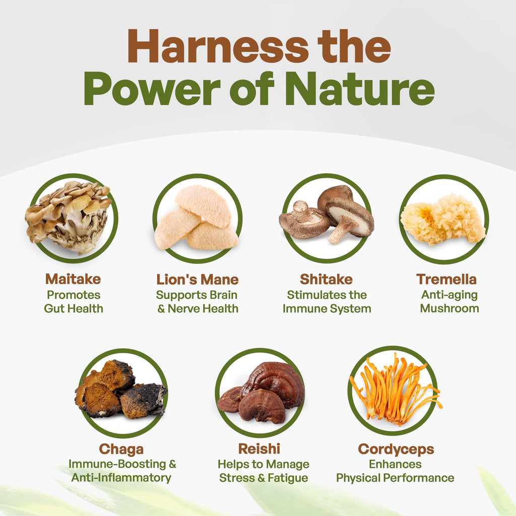 Go Nutra Organic 7 Mushroom Supplement Powder - 8 oz - image 3
