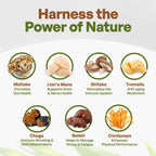 Go Nutra Organic 7 Mushroom Supplement Powder - 8 oz - image 3