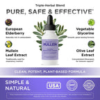 Oxygen Nutrition TriGuard Mullein Plus Liquid - 2 fl oz - image 2