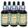 Herbal Terra LLC Jasmine (Jasminum Officinale) Tincture