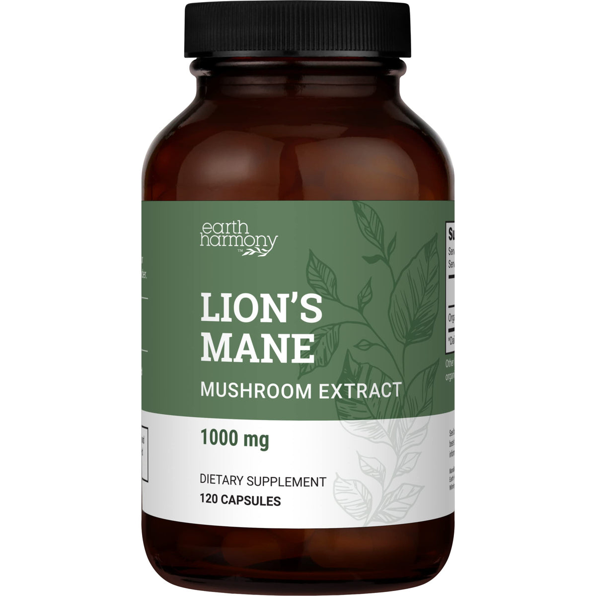 Earth Harmony Naturals Lion's Mane Supplement 1000mg - 120 Capsules