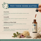 Wise Woman Herbals Urinary Tract Formula Herbal Blend - 2 Fl Oz - image 4