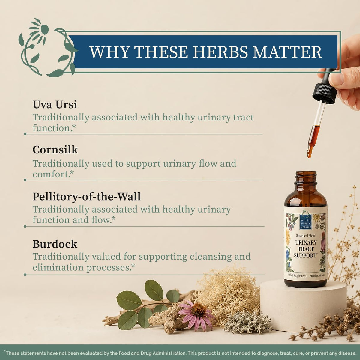 Wise Woman Herbals Urinary Tract Formula Herbal Blend - 2 Fl Oz - image 4