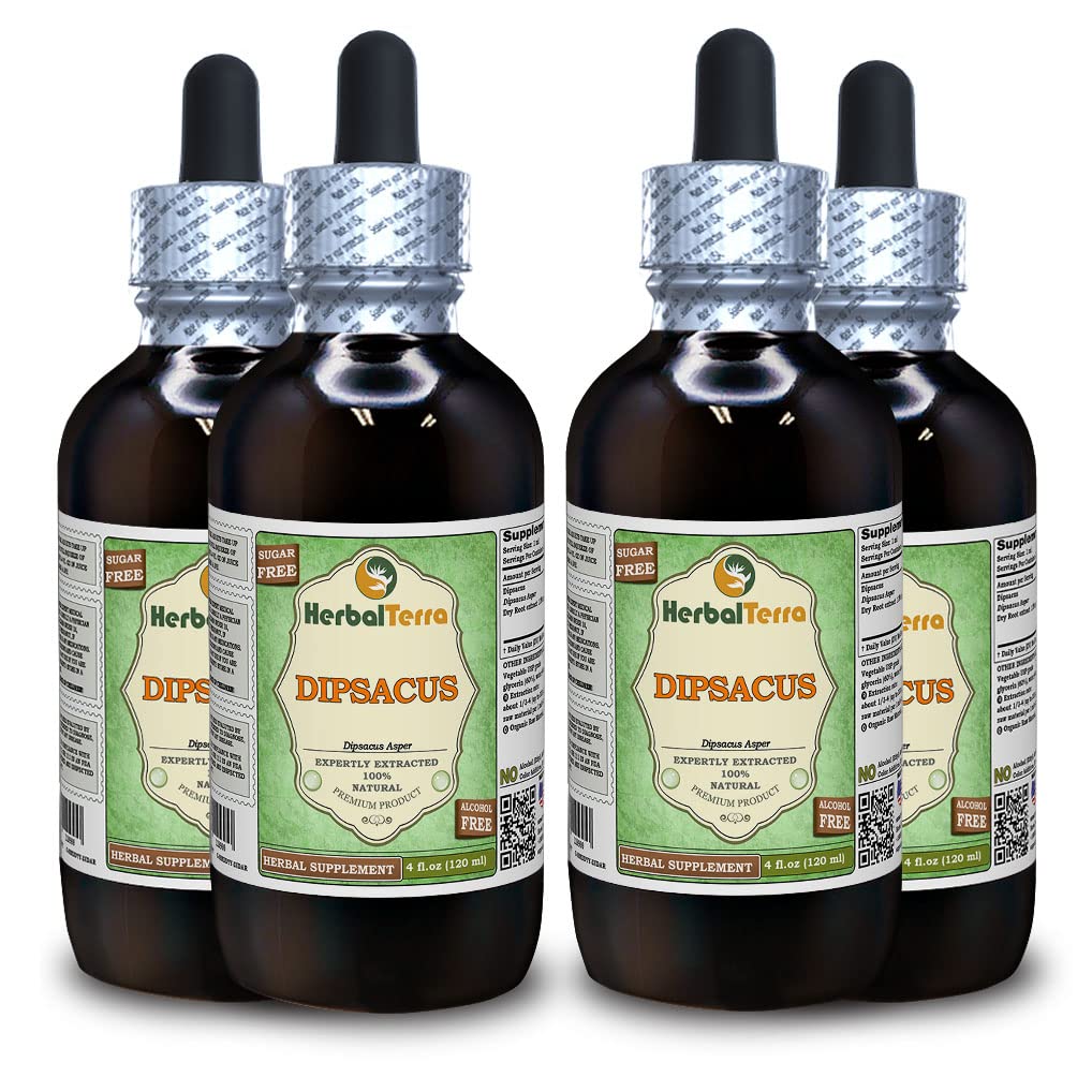 Herbal Terra LLC Dipsacus (Dipsacus Asper) Tincture