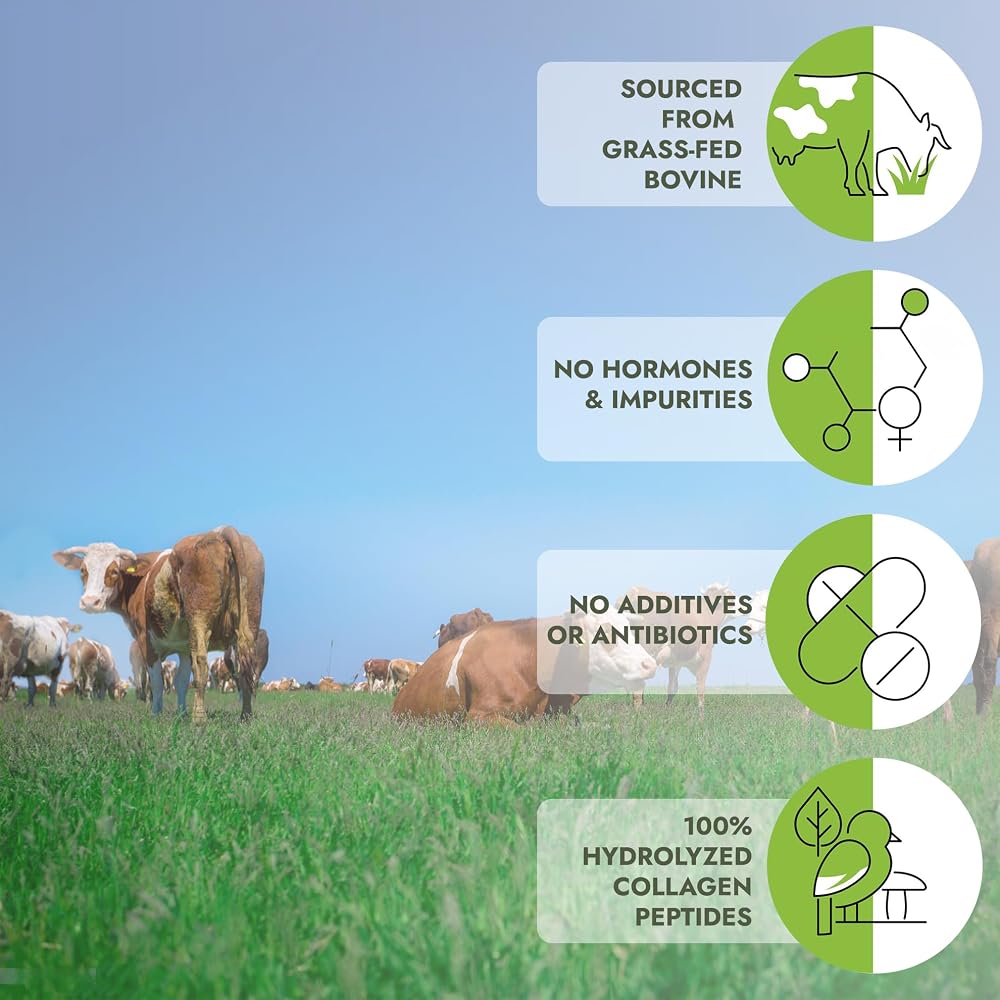 MOMOF4TRANSFORM Grass-Fed Hydrolyzed Bovine Collagen Peptides