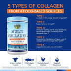 Terranics Multi Collagen Peptides Powder Types I II III V X - 8oz - image 5