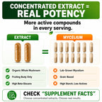 HCL Herbal Code Labs Mushroom Supplement Extract - 60 Capsules - image 7