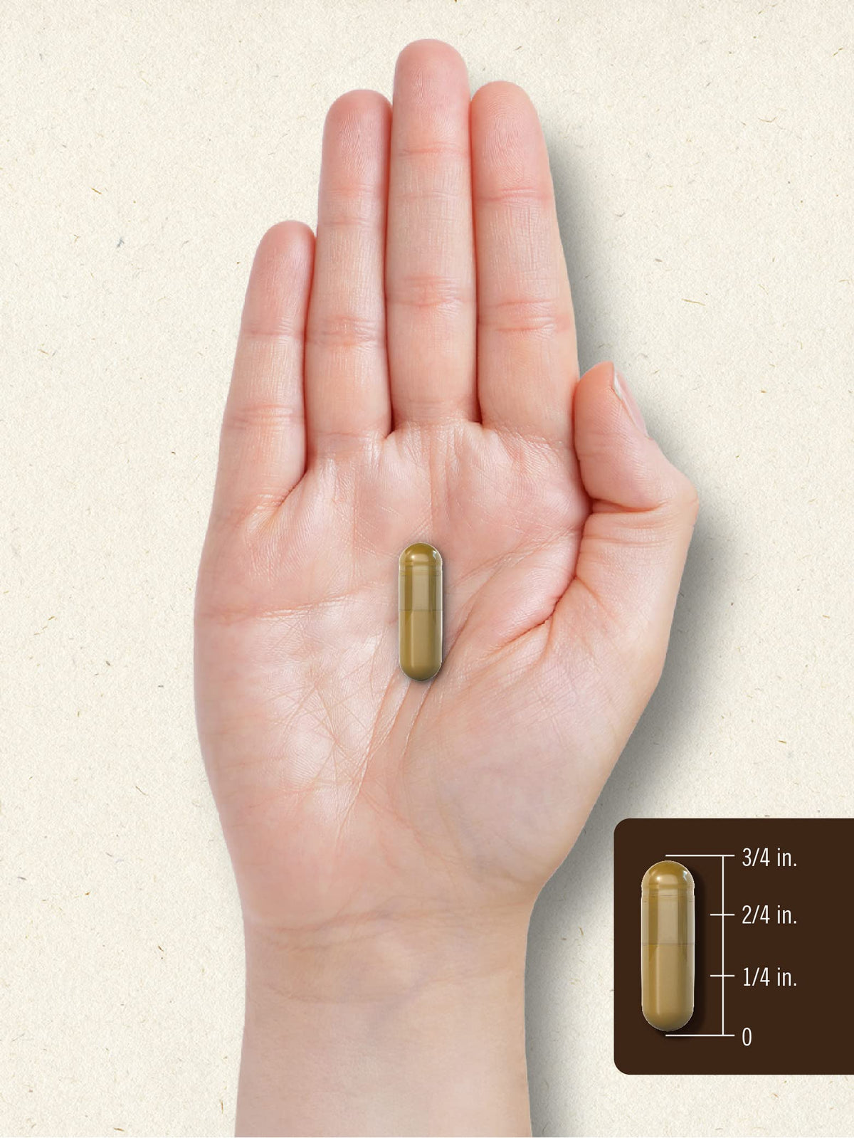 Carlyle Bee Propolis Extract Supplement - 150 Capsules - image 7