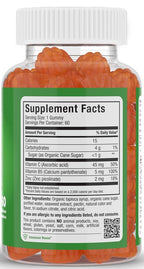 Maxi Health Vitamin C Gummies with Zinc - 60 Gummies - image 2