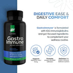Daiwa - Gut Health and Immunity Supplement - Non-GMO