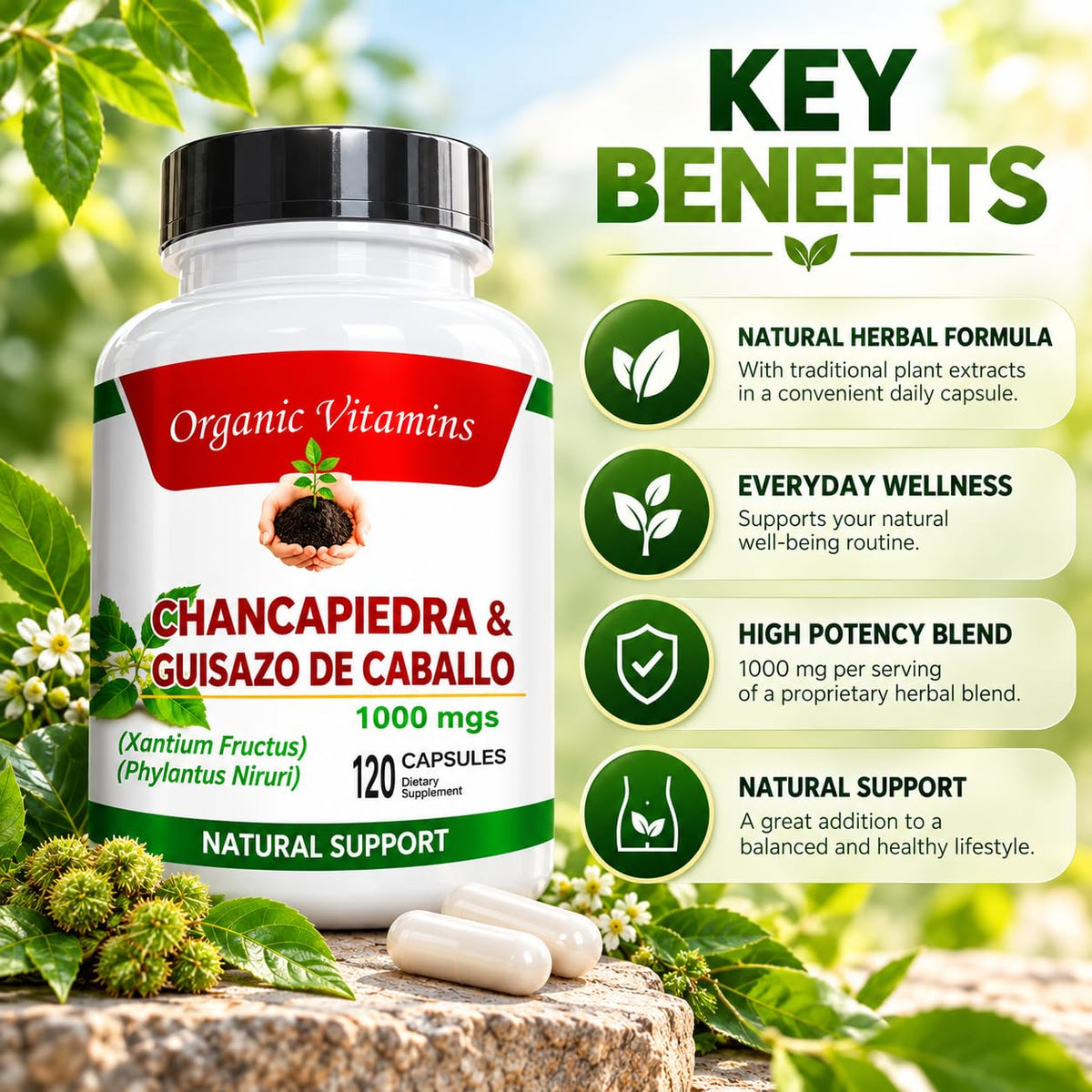 Guizazo Plus Chancapiedra Herbal Supplement - 120 Capsules - image 3