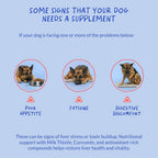 Coco and Luna Liver Supplement for Dogs with Milk Thistle - 90 Soft Chews - image 5