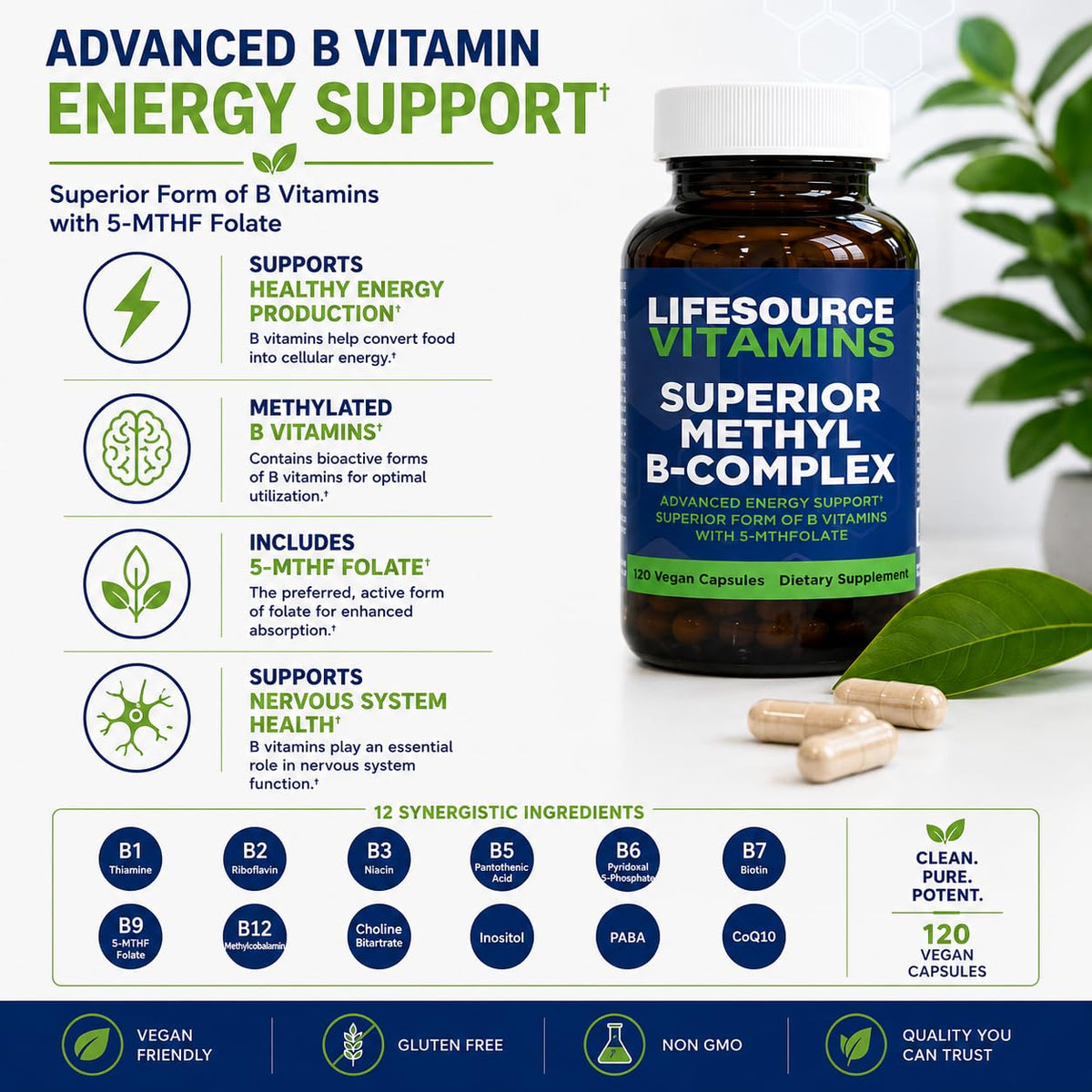 LifeSource Vitamins Superior Methyl-B Complex - 120 Capsules - image 2