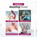 Fossil Fuel Organic Beet Root Powder for Energy & Circulation - 20 Servings - image 2