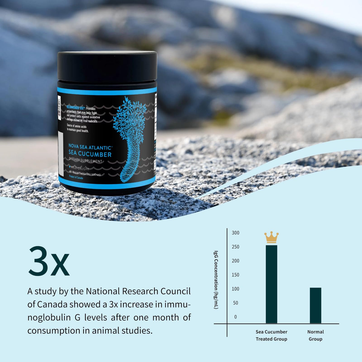 Nova Sea Atlantic Sea Cucumber + Blueberry Optimizer 120 Capsules