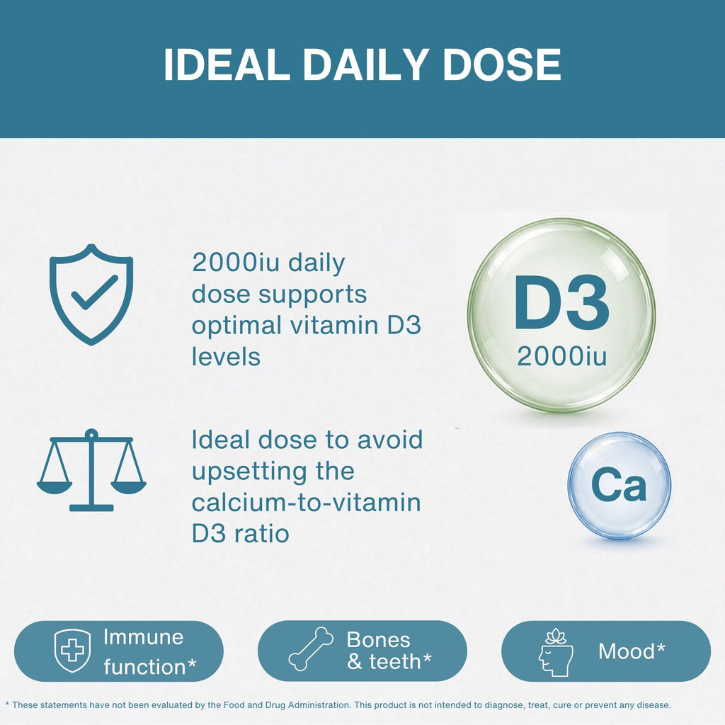 Igennus Daily Vitamin D3 2000 IU - 365 Tablets - image 3