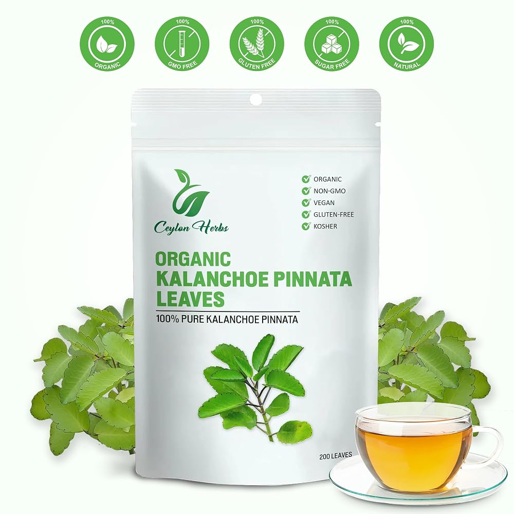 Generic Kalanchoe Pinnata Dried Organic Leaves - 200 Leaves - image 2