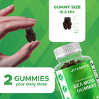 Vitamatic Sea Moss Gummies with Bladderwrack & Burdock - 60 Gummies - image 4