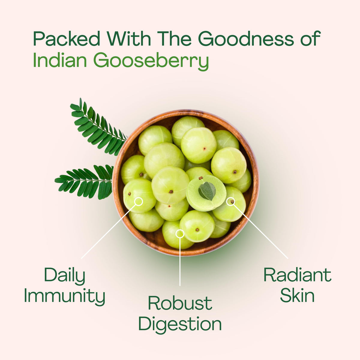 Just Jaivik Organic Amla Tablets Vitamin C - 90 Tablets - image 4