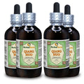 Herbal Terra LLC Qiang Huo, Notopterygium (Notopterygium Incisum)