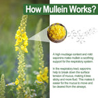 NEVISS Mullein Leaf Extract 1000mg for Lung Cleanse