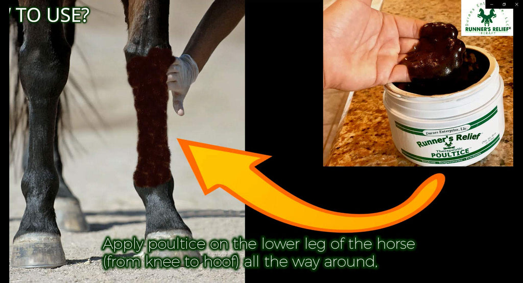 RUNNER'S RELIEF Therapeutic Poultice for Horses - 1.75 oz - image 3