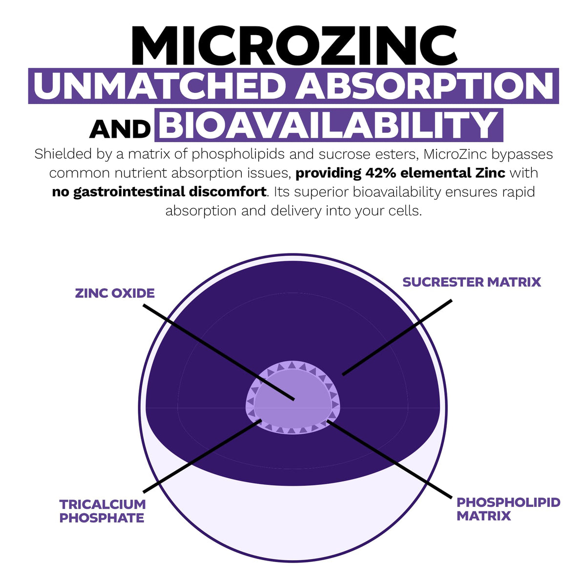 Nootropics Depot MicroZinc Capsules