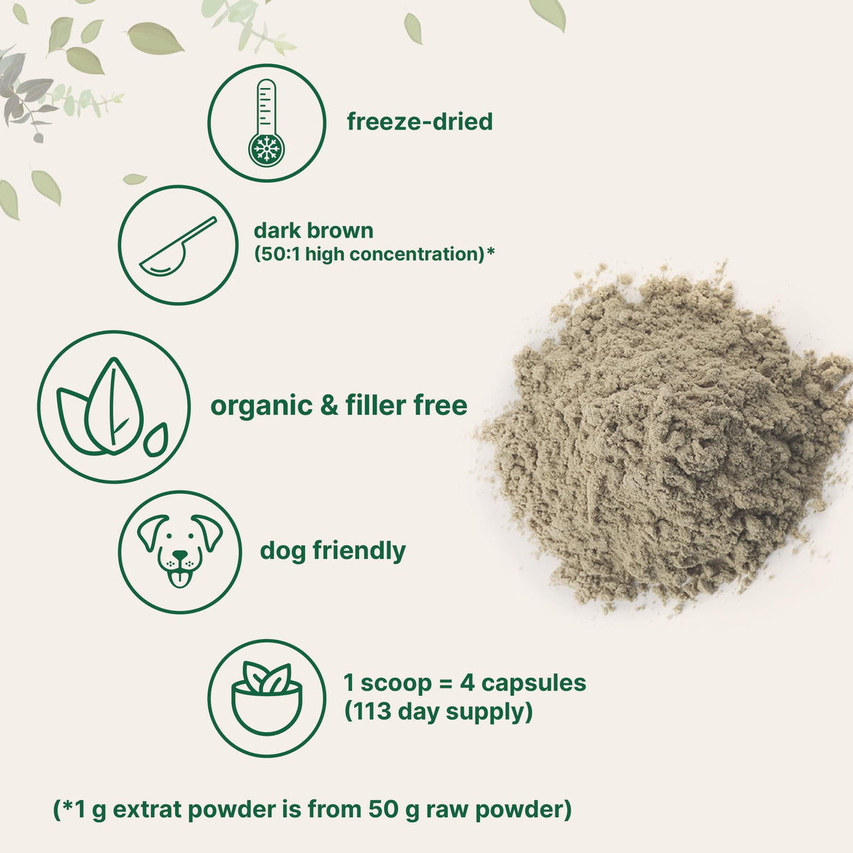 Micro Ingredients Organic Turkey Tail Mushroom Powder - 8 oz - image 4
