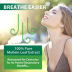 MXCZBSM Mullein Leaf Extract Drops for Lungs - 2 Pack - image 7
