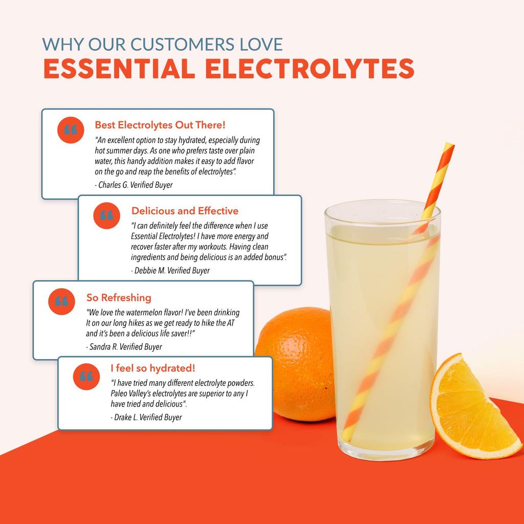 Paleovalley Essential Electrolytes Powder - Full Spectrum Lemon Lime