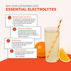 Paleovalley Essential Electrolytes Powder - Full Spectrum Lemon Lime