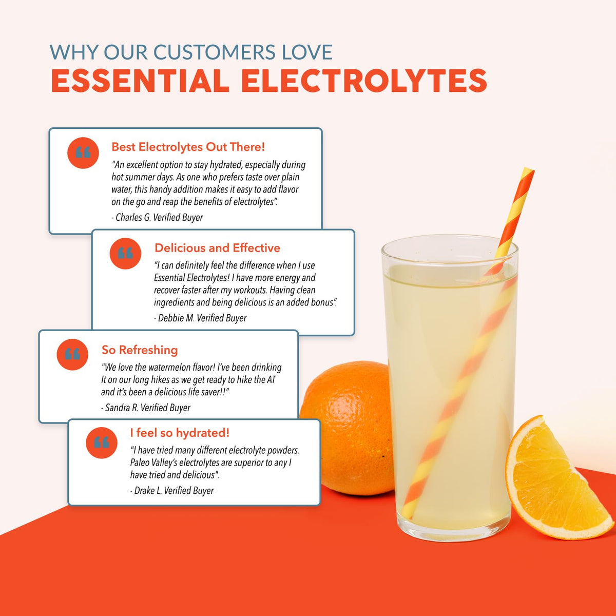 Paleovalley Essential Electrolytes Powder - Full Spectrum Lemon Lime