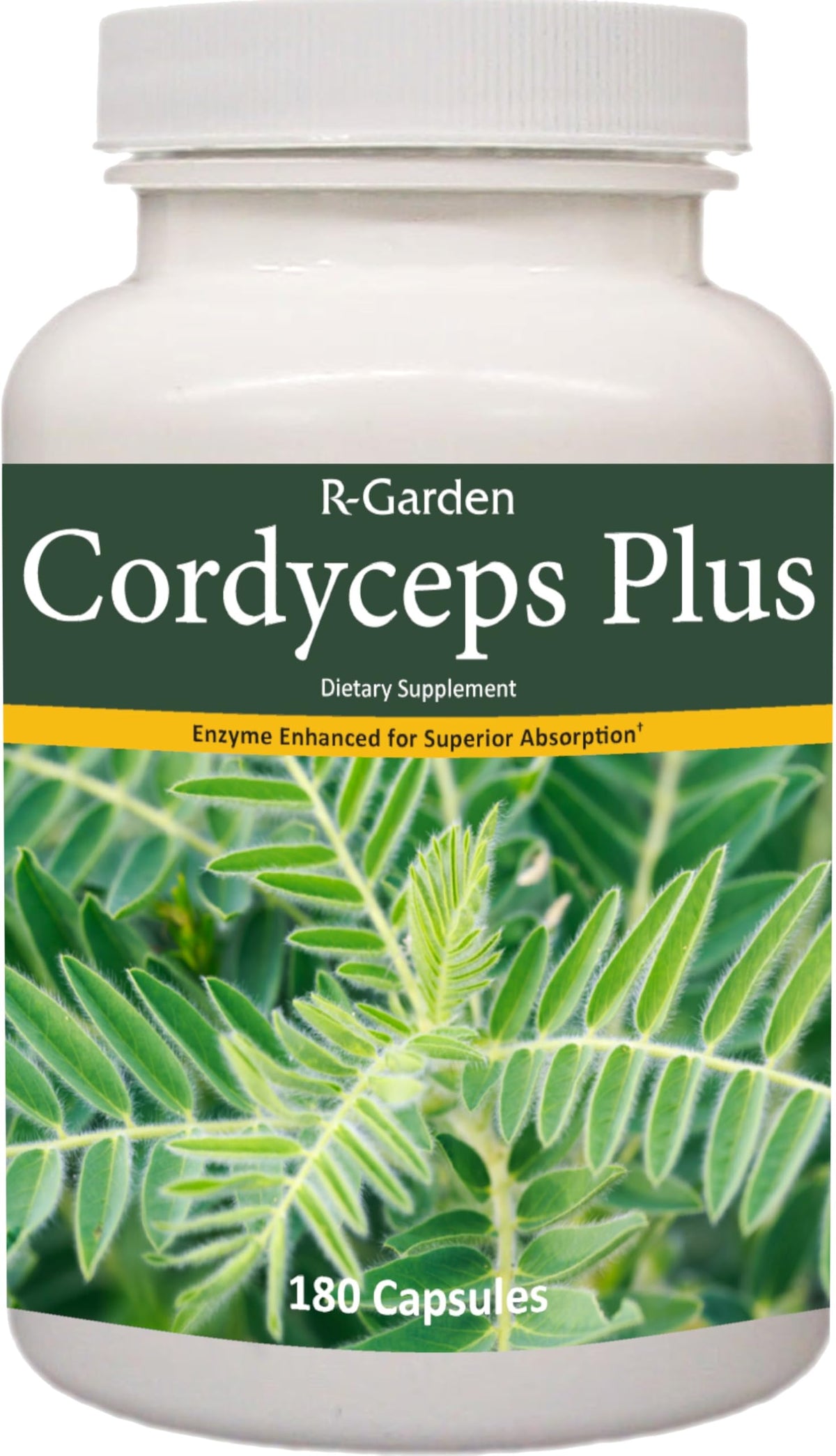R-Garden Cordyceps Plus Energy Booster - 180 Capsules