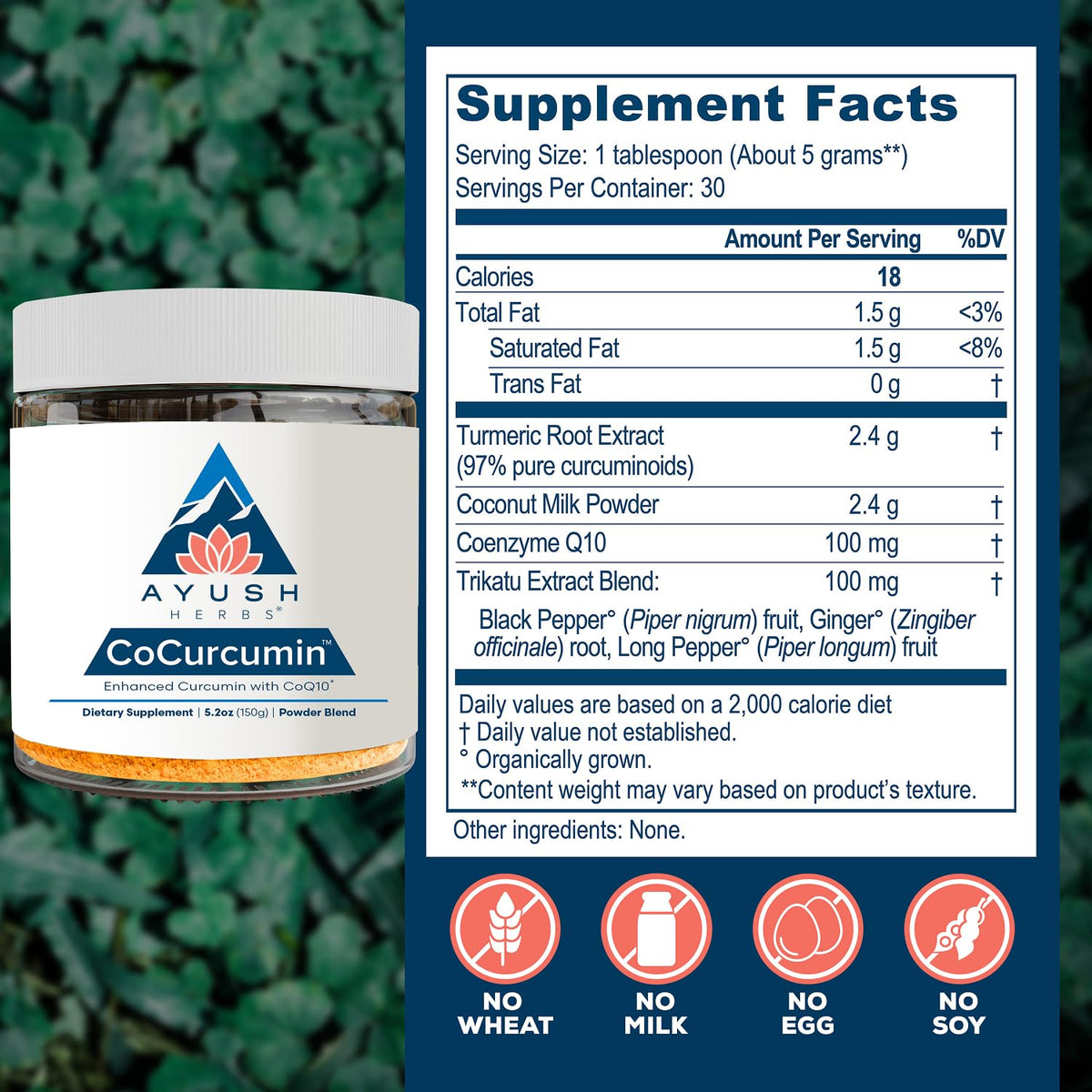 Ayush Herbs CoCurcumin Turmeric Powder with CoQ10 - 30 Servings - image 3